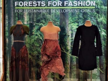 Fibras téxtiles forestais, un mercado en ascenso a nivel mundial