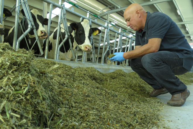 “Un buen silo de hierba es la forma más económica y razonable de subir la grasa en la leche”