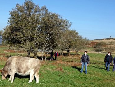 Novo pasteiro de 32 hectáreas no concello pontevedrés de Cerdedo-Cotobade