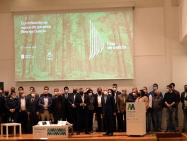 A Fundación Arume lanza a marca Pino de Galicia para prestixiar a madeira galega de coníferas
