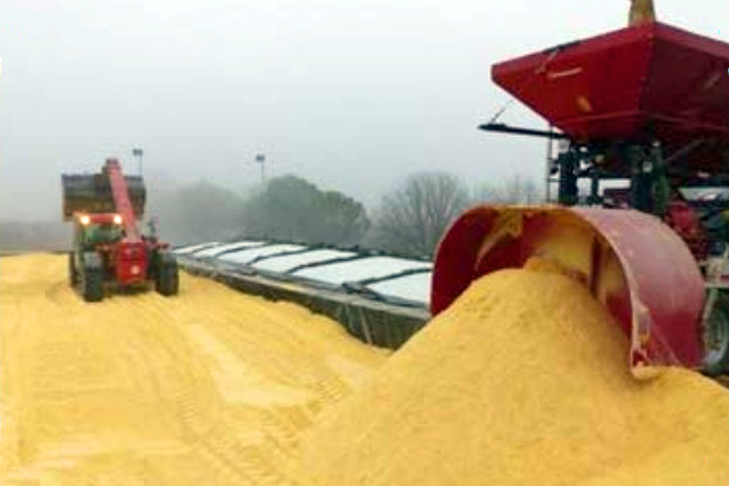Trituración del grano húmedo de maíz en los silos de la cooperativa de Ivars, en Lleida