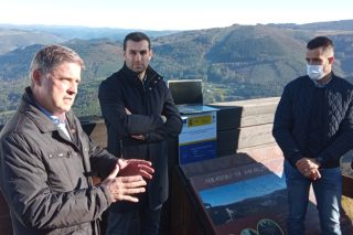 Concellos galegos e asturianos únense para impulsar a cría de porco celta nos seus montes