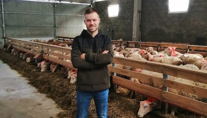 «Los corderos y cabritos gallegos están todo el tiempo mamando de la madre y eso marca la diferencia para obtener carne de calidad»