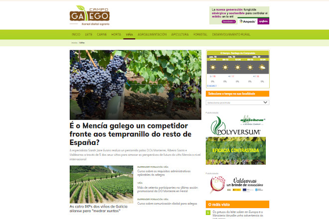 Campo Galego, galardoado nos Premios D.O. Ribeiro polo seu labor de comunicación para o sector vitivinícola