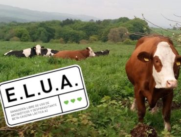Nace o primeiro certificado en España para granxas libres do uso de antibióticos