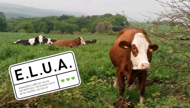 Nace el primer certificado en España para granjas libres del uso de antibióticos