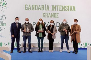 Estas son as ganderías galegas que producen o leite coa mellor calidade hixiénico-sanitaria