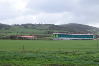 Encarécese até nun 60% o prezo da terra agraria e de monte en Galicia