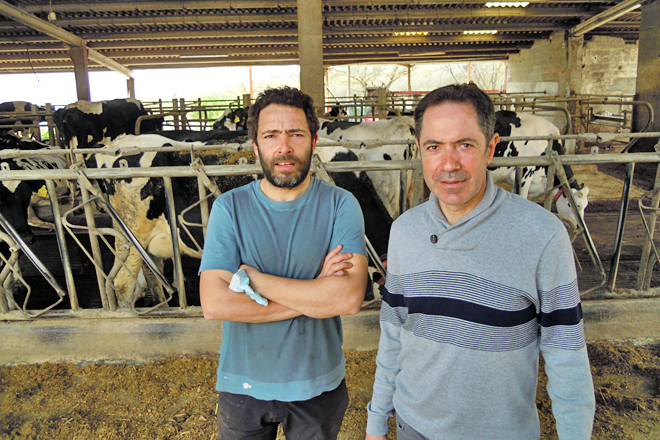 Marcos e José Manuel Feás están á fronte desta explotación, que moxe 115 vacas e está a medrar