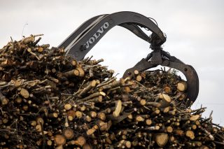 Publicada a resolución de apoios á industria forestal e da madeira