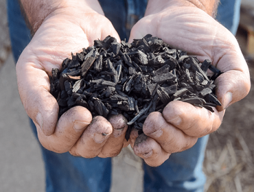 Uso de carbón vexetal en fosas de xurro para reducir as emisións e incrementar o seu valor fertilizante