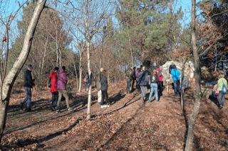 Xornada de voluntariado forestal no Parque do Lago de Castiñeiras