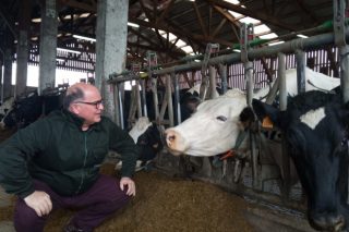 “As granxas galegas teñen un nivel de emisións medio e poden mellorar reducindo o emprego de concentrado e aumentando o de herba”