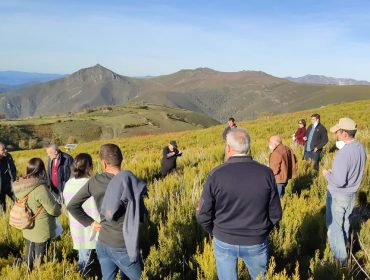 Queimas prescritas e pastoreo: prácticas tradicionais sustentables para rexuvenecer o monte e preservar hábitats naturais
