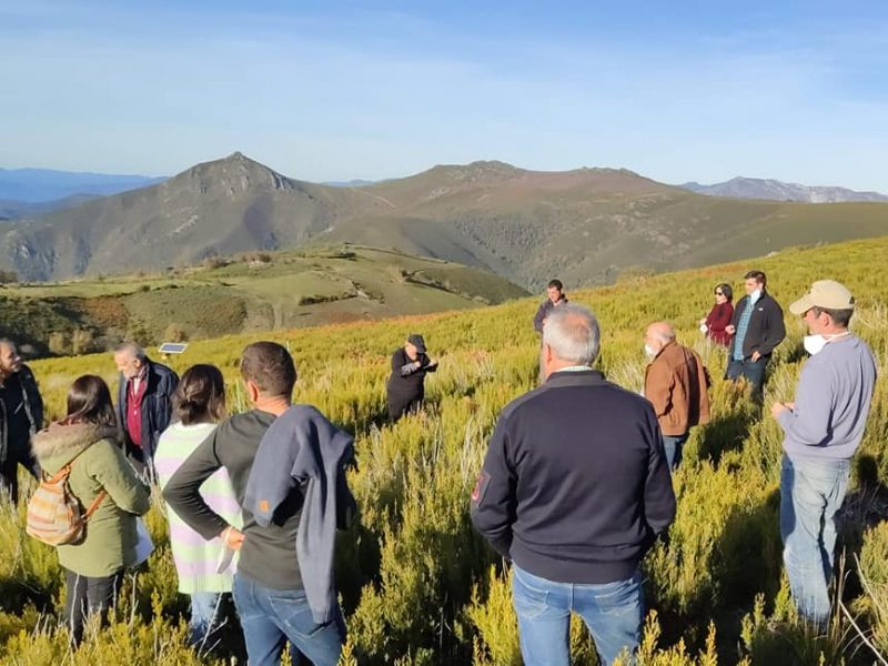 Queimas prescritas e pastoreo: prácticas tradicionais sustentables para rexuvenecer o monte e preservar hábitats naturais