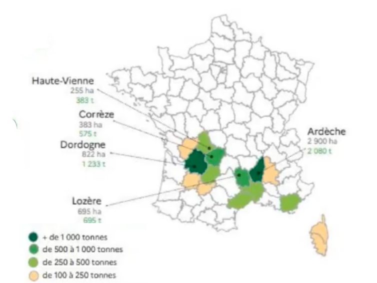 Mapa de la producción (en hectáreas y toneladas) de castaña en Francia. La región de Ardèche es la principal productora de castaña en Francia, con 2.900 hectáreas destinadas a este cultivo y una producción de 2.080 toneladas al año.