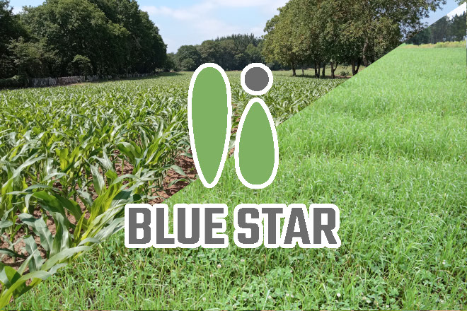 Delagro lanza BLUE STAR: O fertilizante que fomenta a actividade biolóxica do solo e mellora o rendemento dos cultivos