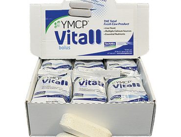 YMCP Vitall®: O produto que axuda á vaca recén parida a lograr o seu máximo rendemento