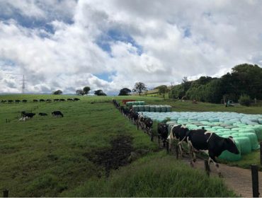 Un veterinario galego en Latinoamérica: percorrido pola produción de leite de México a Brasil