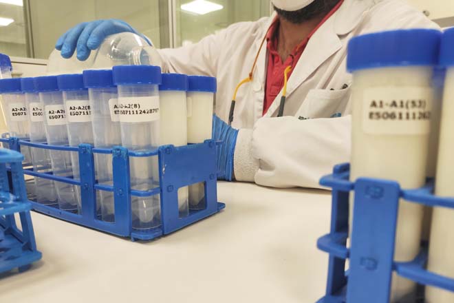 Una empresa biotecnológica de Lugo, Amslab, lanza un servicio para certificar los lácteos A2