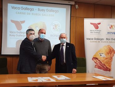 Crean o selo Carne de Rubia Galega ó amparo das IXP Vaca e Boi Galego