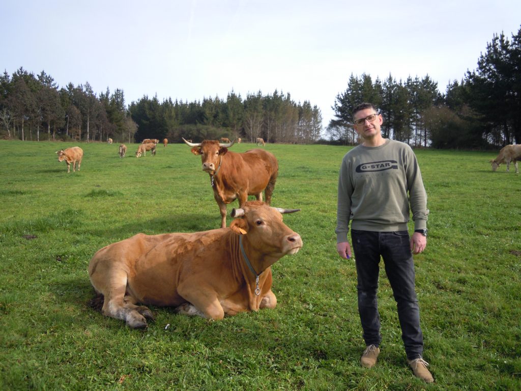 Santi, coas súas vacas en Cababelos, pertencente á parroquia de Mazoi, no concello de Lugo