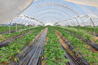 Charlas informativas en Lugo e Sarria sobre as axudas para plans de mellora e incorporación ao agro
