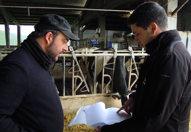 Óscar, revisando con Antonio os datos morfolóxicos dos animais, nunha das visitas trimestrais que fai á explotación