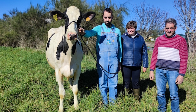 Ganadería Rato, entre los mejores criadores gallegos de vacas frisonas de altas calificaciones