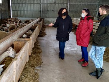 Medio Rural da Deputación de Lugo apoia a gandeiría de ovino e cabrún cunha achega de 10.000 euros a Ovica