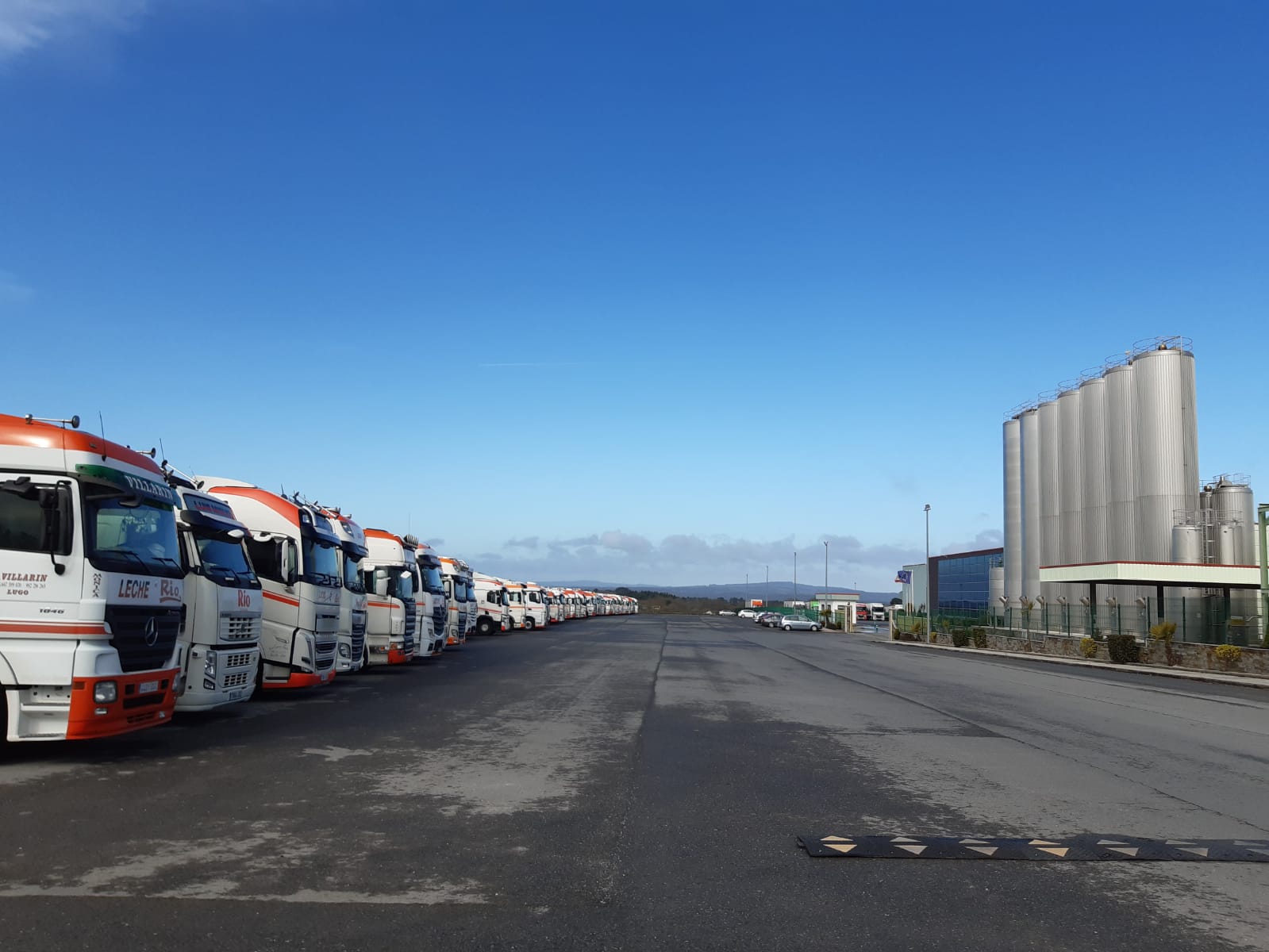 Flota de camións do Grupo Lence, aparcados nas instalacións de Leite Río no Ceao sen poderen saír desde o luns