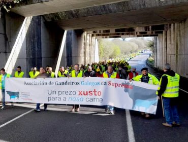 Os produtores de vacún de carne suman apoios á manifestación de mañá en Lugo