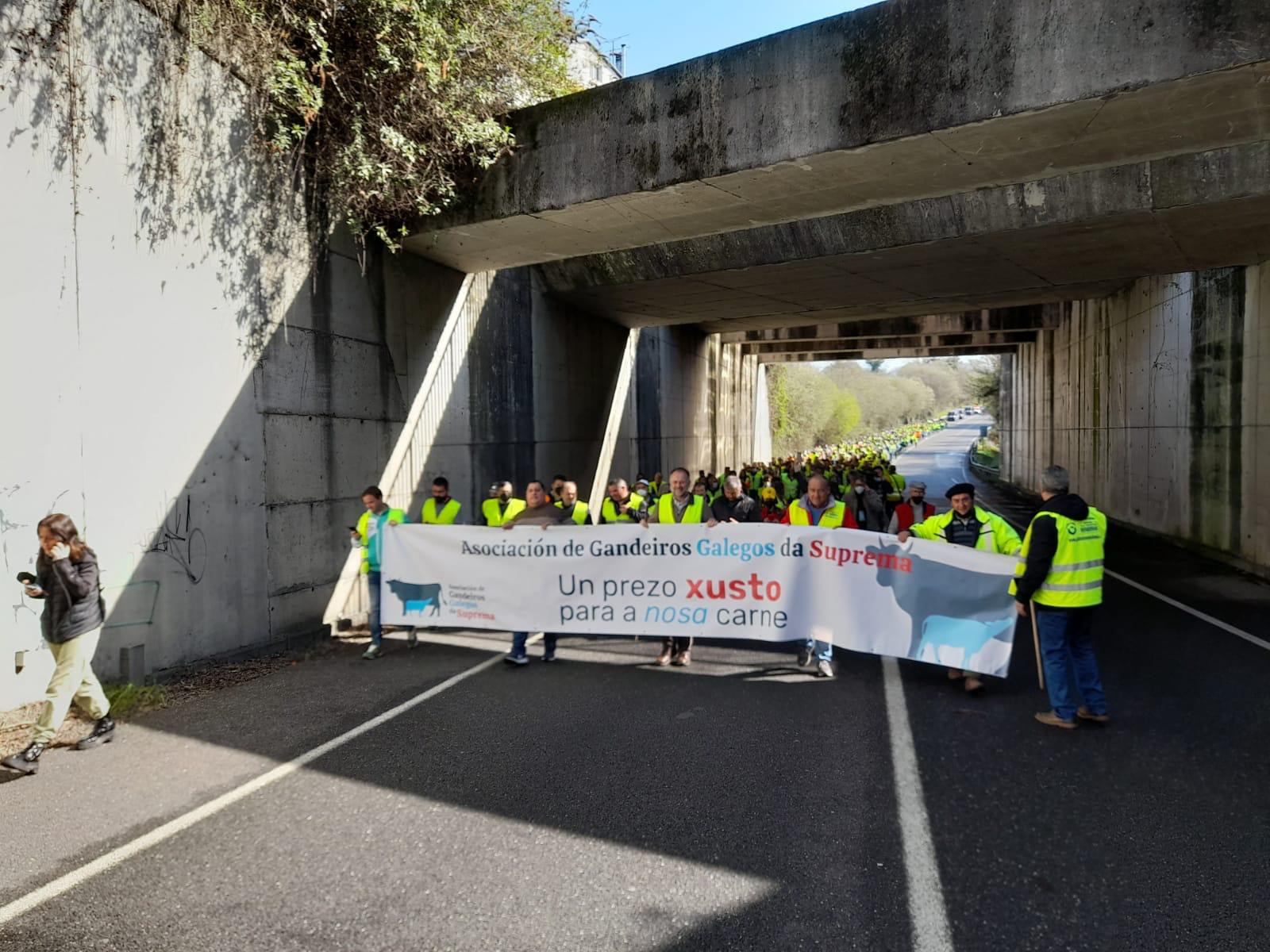 Os gandeiros participaron este xoves en Lugo na marcha organizada polos transportistas