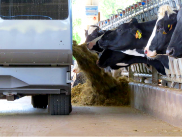 As debilidades do sistema de produción de leite en Galicia