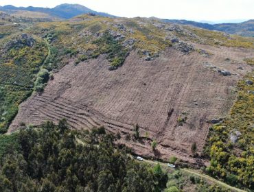 Xornadas formativas en Ourense sobre os aspectos prácticos da normativa forestal