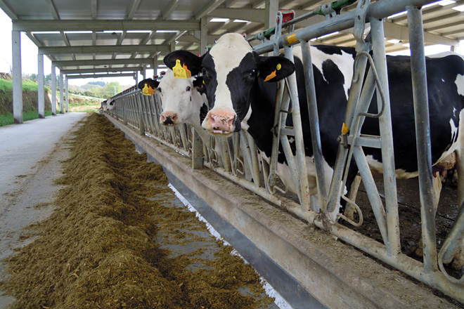 Curso para aprender a calcular y analizar los costes de producción en una granja de vacuno de leche