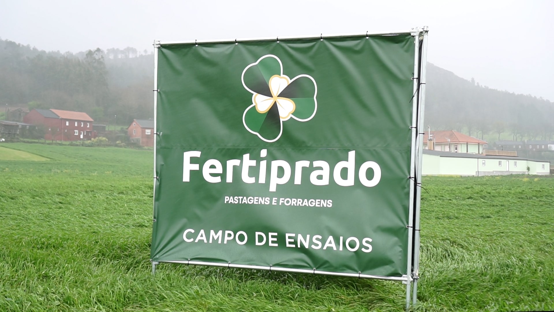Campos de ensaio en Mazaricos de mesturas de herba con leguminosas: Ata un 70% de aforro en abonos nitroxenados