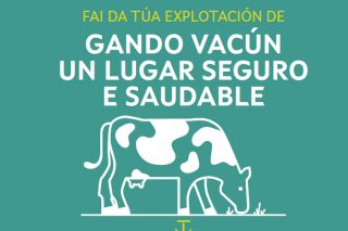 Campaña de prevención de riscos en 25.000 ganderías de vacún de Galicia