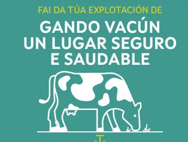 Campaña de prevención de riscos en 25.000 ganderías de vacún de Galicia