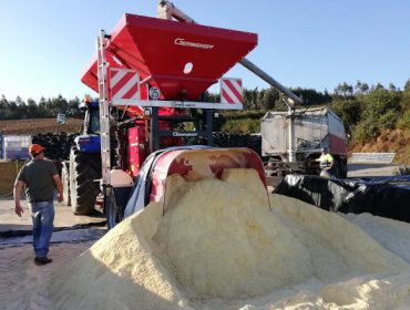 Gran húmido de millo en vacún de leite: Resultados dun estudo en 13 gandarías galegas