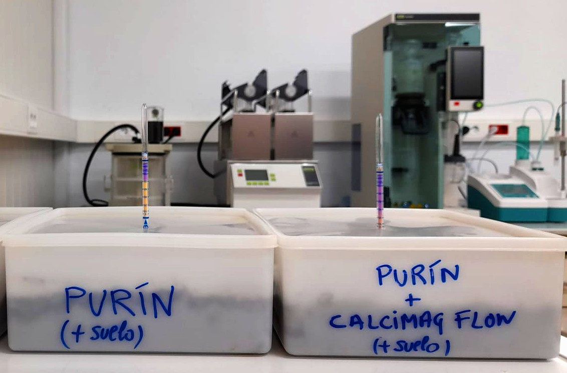 Probas de laboratorio: incubación de solo ao que se lle aplicou purín con Calcimag Flow