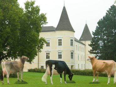 Comparación de resultados entre as razas Fleckvieh, Holstein e  Brown Swiss en Austria