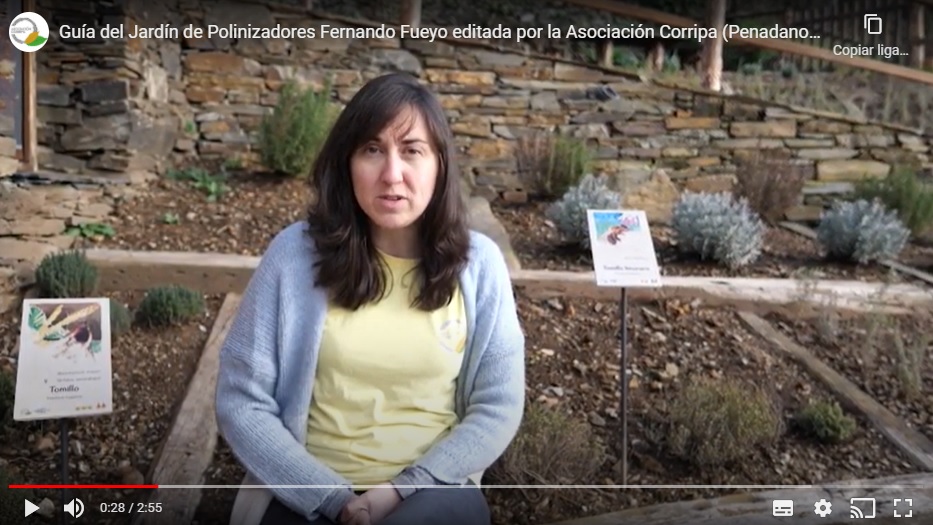 Vanessa Paredes, presidenta de la Asociación Corripa, junto al jardín de polinizadores