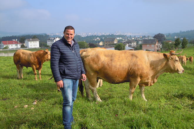 David López, coas súas vacas en San Cosme, no concello de Barreiros