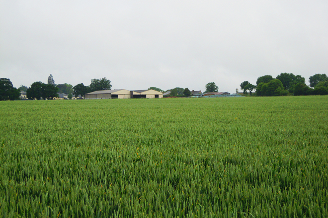 Vista dunha paisaxe agraria no departamento de Ille e Vilaine, no entorno de Rennes, capital da Bretaña