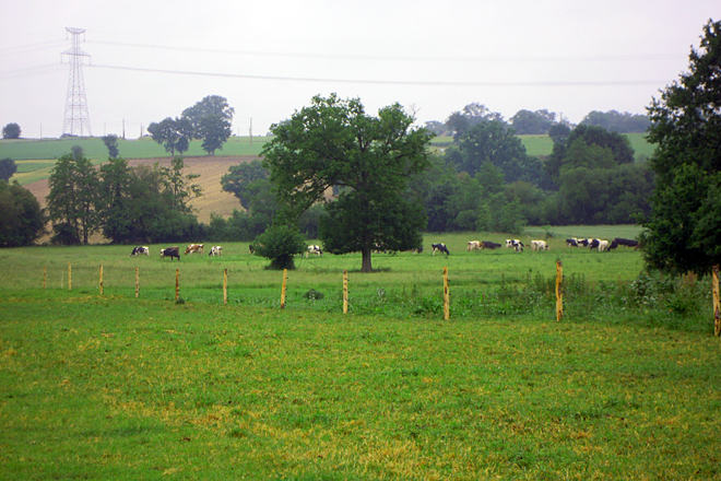 La granja ecológica de Samuel se encuentra en Bais, en la zona oeste de Bretaña