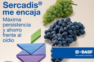 Sercadis®, o antioídio máis persistente, chega ao cultivo vitivinícola da man de BASF