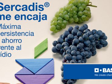 Sercadis®, o antioídio máis persistente, chega ao cultivo vitivinícola da man de BASF