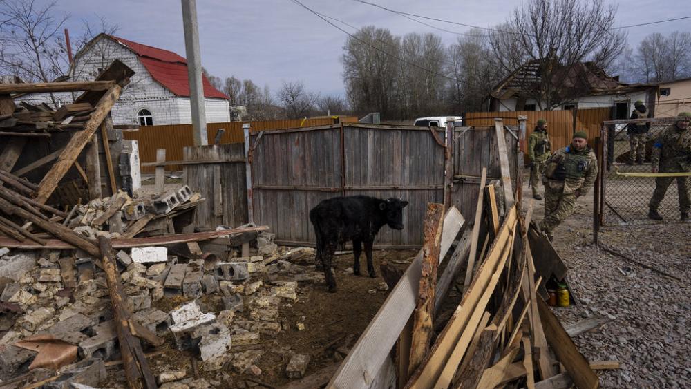 Granxa destruída en Ucrania a consecuencia dos bombardeos e ataques rusos