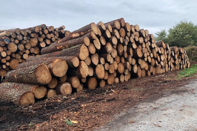 Adjudican 19 lotes de madera por cerca de 640.000 euros en la última subasta pública, en A Coruña